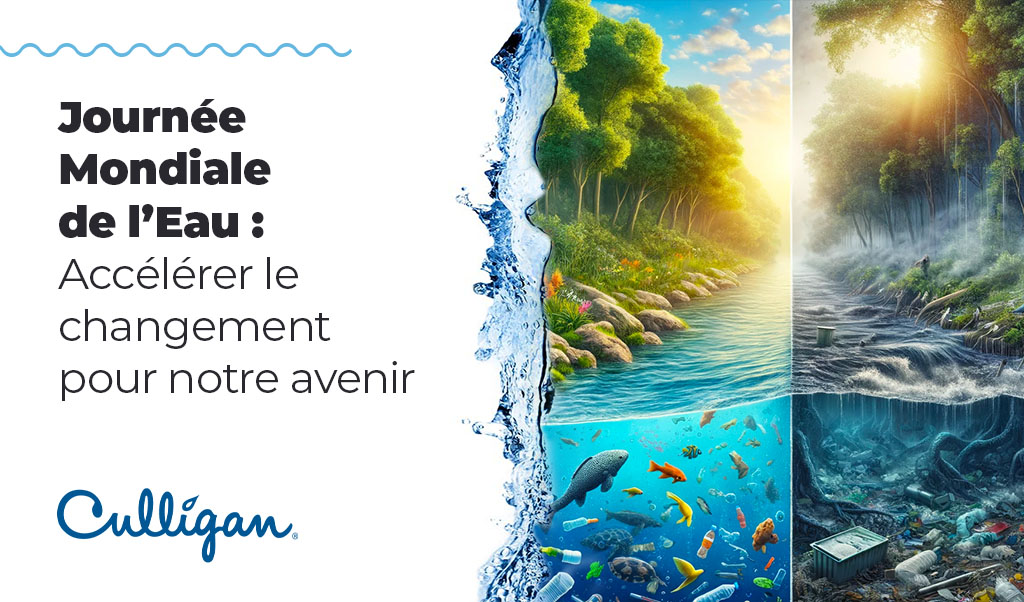 Une image représentant la Journée mondiale de l'eau avec le texte français "Journée Mondiale de l'Eau : Accélérer le changement pour notre avenir". La scène passe d’un paysage sain avec de l’eau propre à la pollution sous-marine, illustrant le besoin urgent de protéger notre avenir.