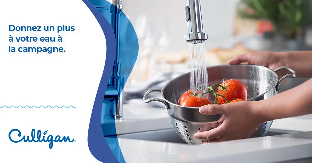 Une femme qui lave des tomates dans une passoire sous l'eau du robinet