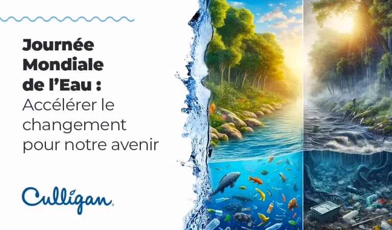Journée mondiale de l'eau on y voit une rivière divisée en deux. Une partie polluée et l'autre non