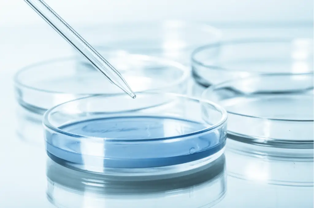 Analyse en laboratoire sur la qualité de l'eau avec une éprouvette