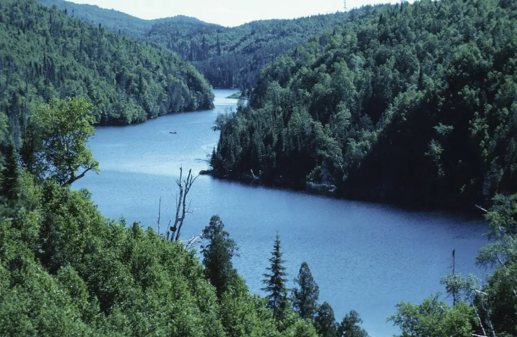 Une rivière d'eau clair serpentant des montagnes verdoyantes