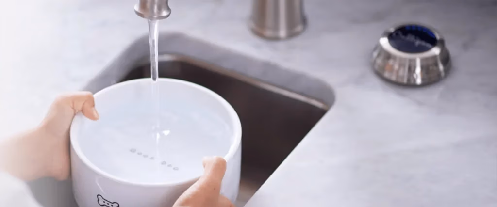 filtered water, tap water, drinking water, water solutions, Culligan system, home water purification. eau filtrée, eau du robinet, eau potable, solutions d’eau, système Culligan, purification de l’eau domestique.