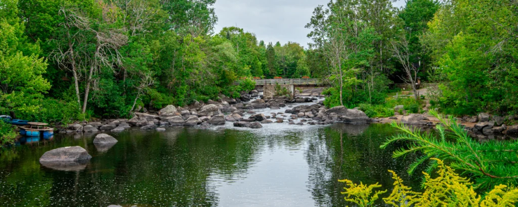 water quality test, water sampling, clear water, environmental science, test de qualité de l'eau, échantillonnage de l'eau, eau claire, science environnementale,