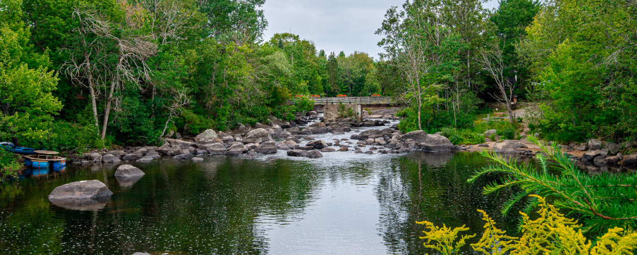 river landscape, rocks, flowing water, natural scenery, paysage fluvial, roches, eau courante, paysage naturel,