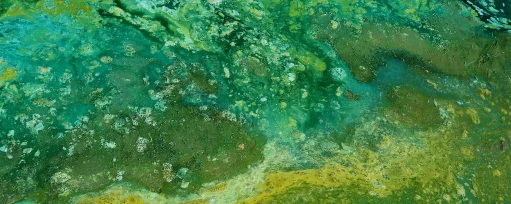 water quality test, water sampling, clear water, environmental science, test de qualité de l'eau, échantillonnage de l'eau, eau claire, science environnementale,