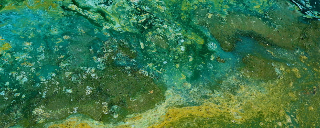 contaminated water, water pollution, environmental issue, eau contaminée, pollution de l'eau, problème environnemental,