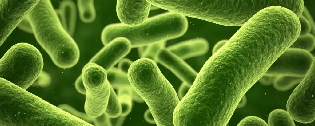 water quality test, water sampling, clear water, environmental science, test de qualité de l'eau, échantillonnage de l'eau, eau claire, science environnementale,