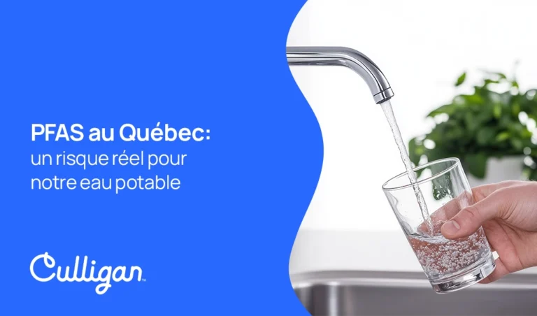 PFAS au québec